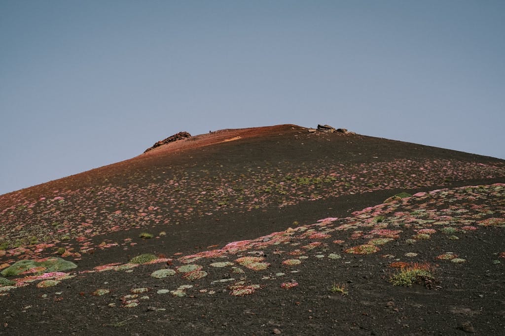 A scenic view of Mount Etna's volcanic terrain in Sicily, featuring red soil and scattered vegetation.