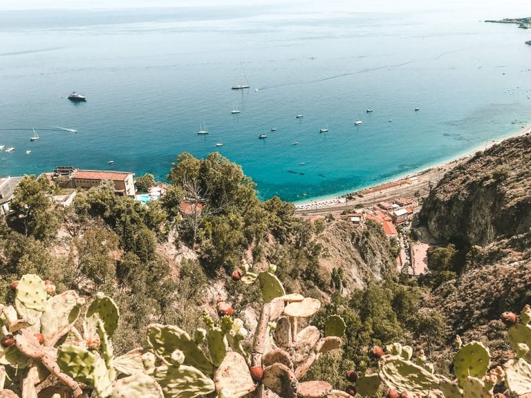 A breathtaking view of the Mediterranean coast with cacti in the foreground and boats dotting the azure sea.